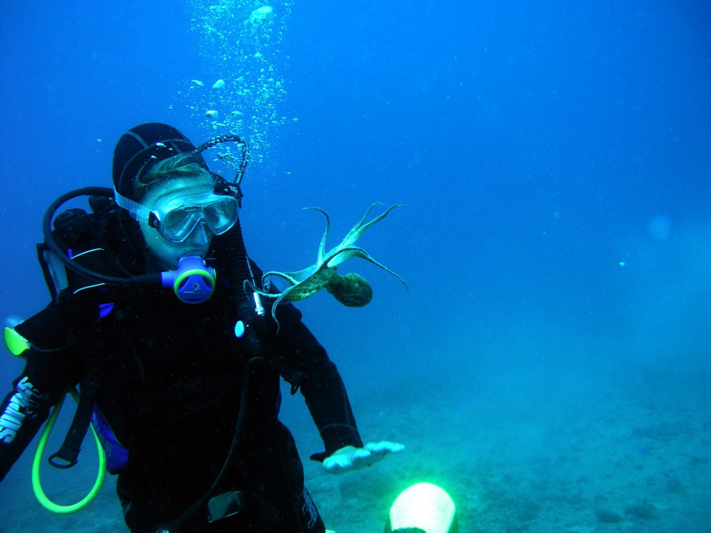 Marine Conservation