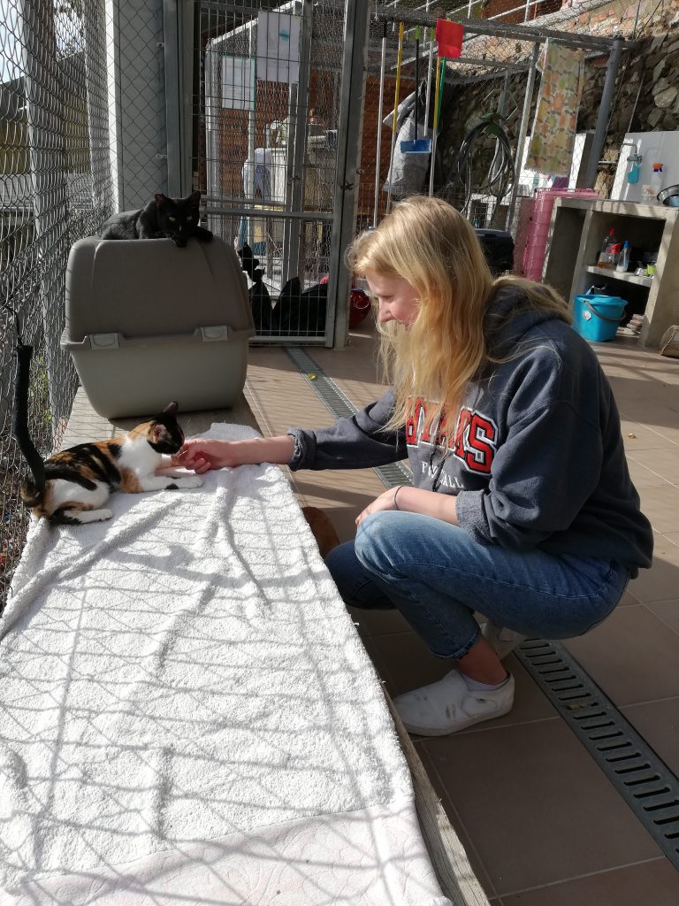 Animal Care