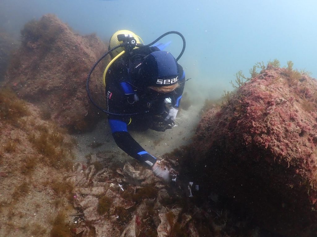 Marine Conservation