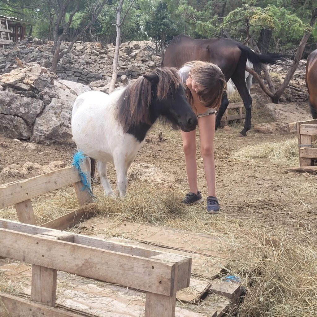 Animal Care