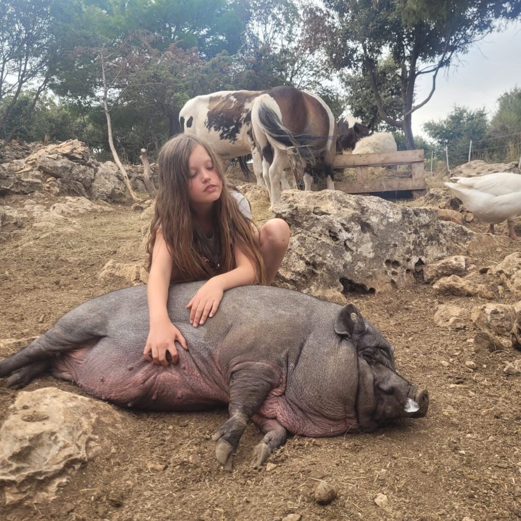 Animal Care