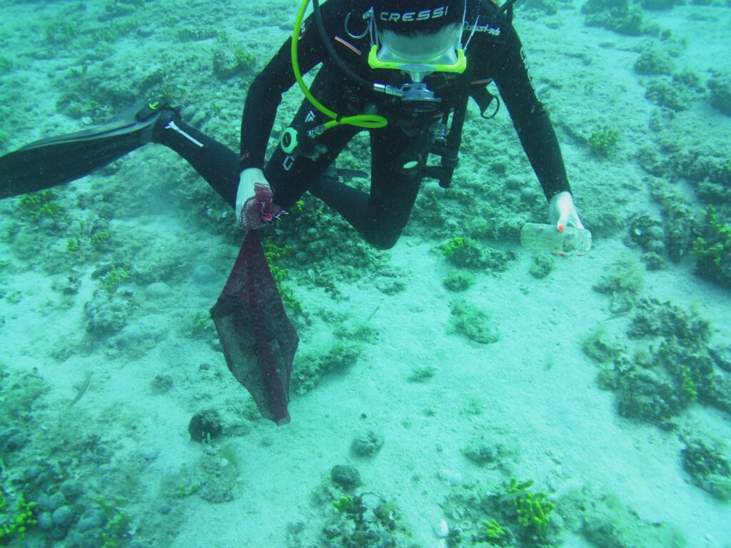 Marine Conservation