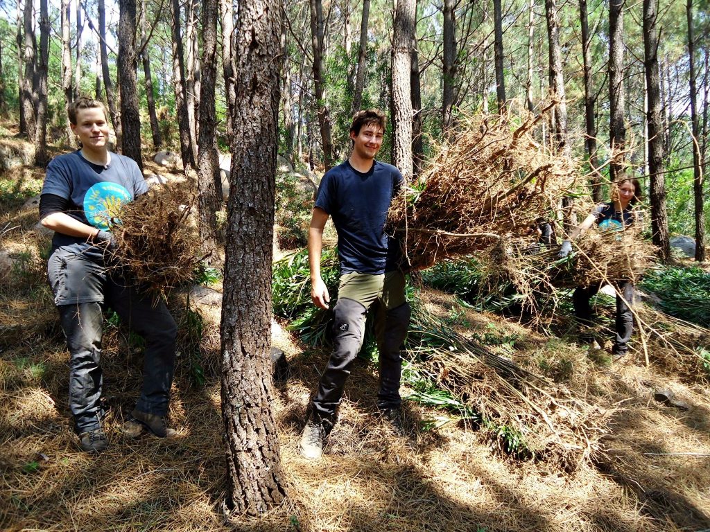 Forest Conservation