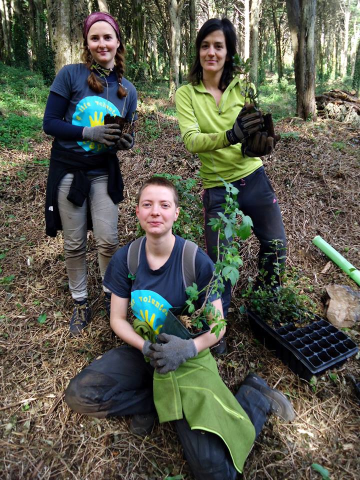 Forest Conservation
