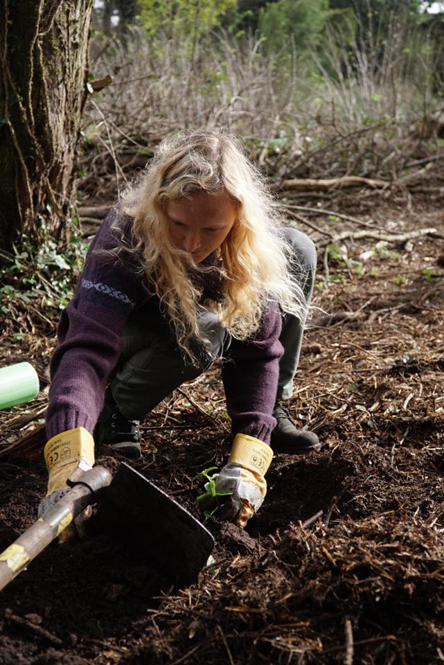 Forest Conservation