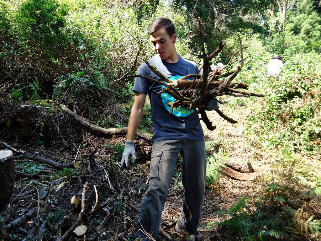 Forest Conservation