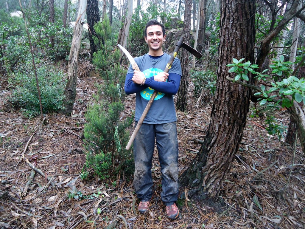 Forest Conservation
