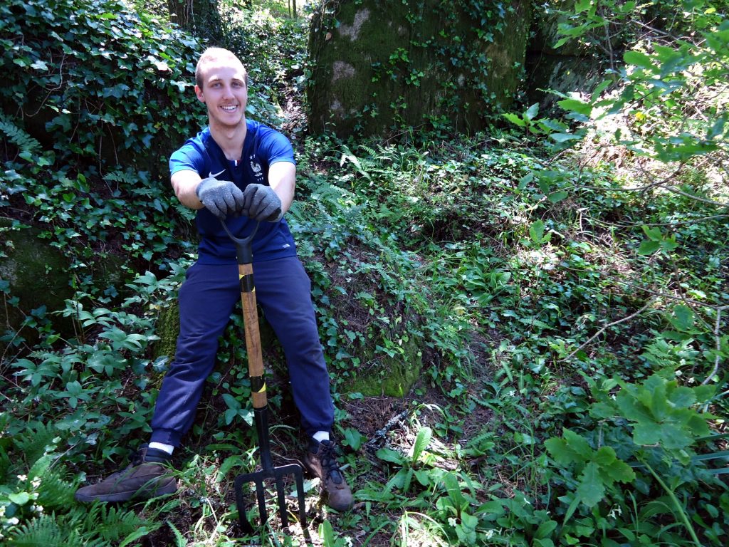 Forest Conservation