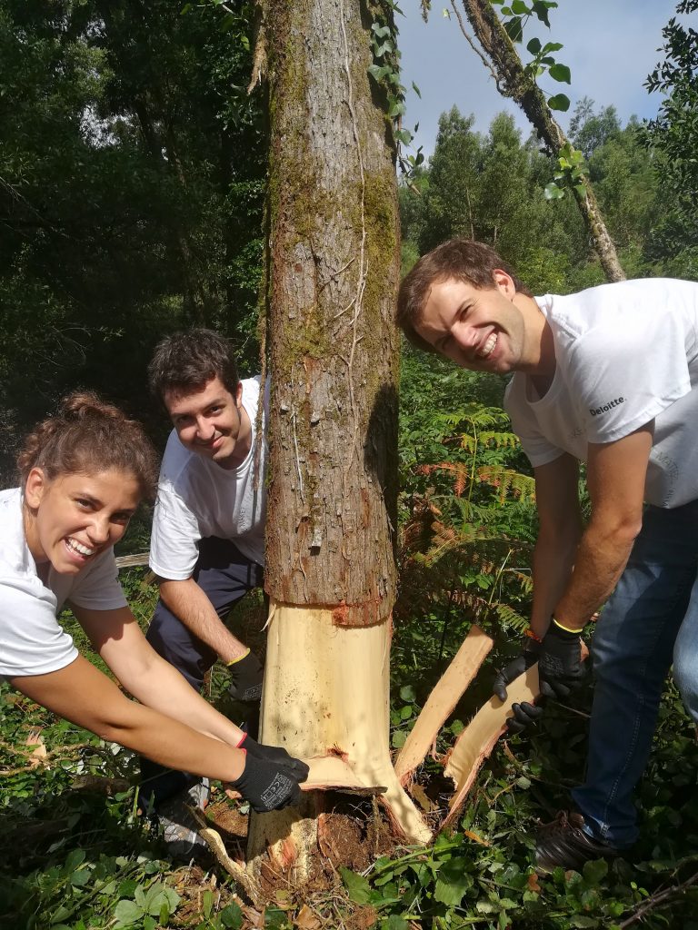Forest Conservation