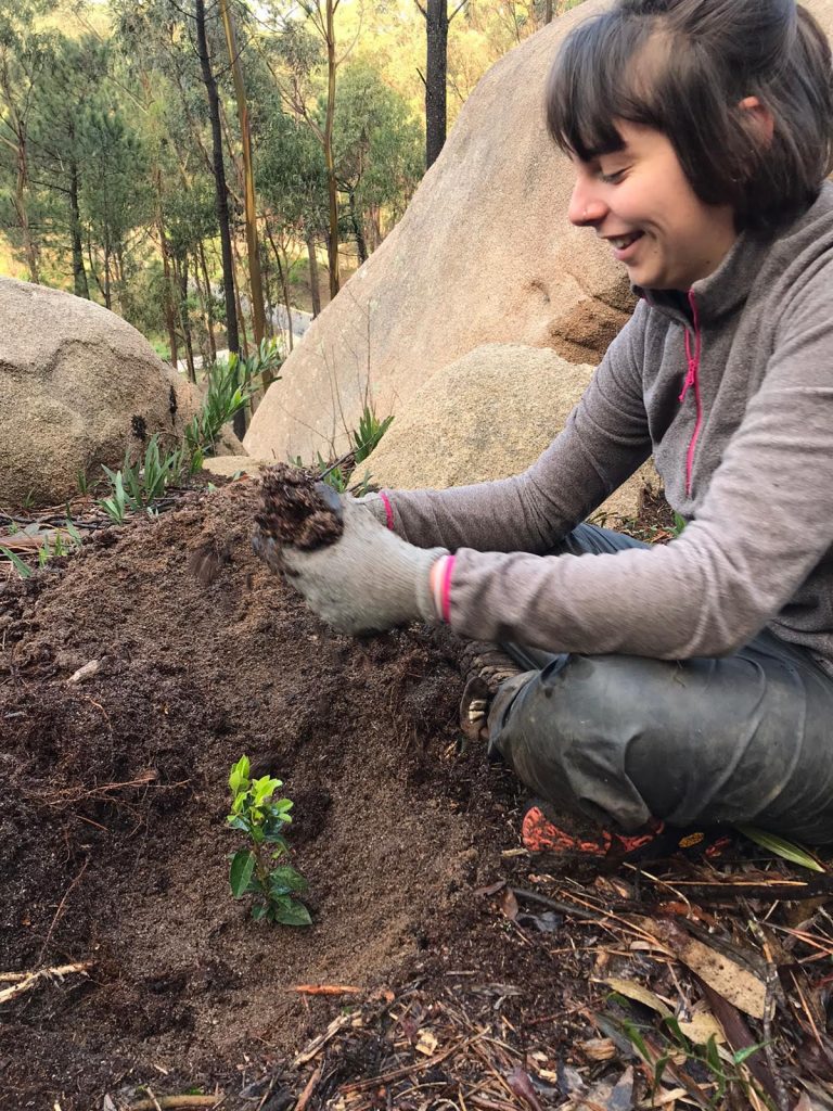 Forest Conservation