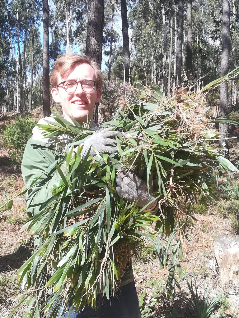 Forest Conservation
