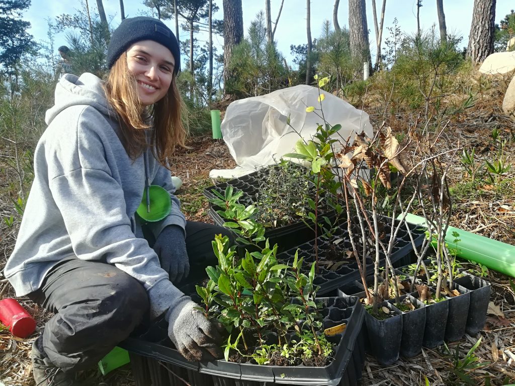 Forest Conservation