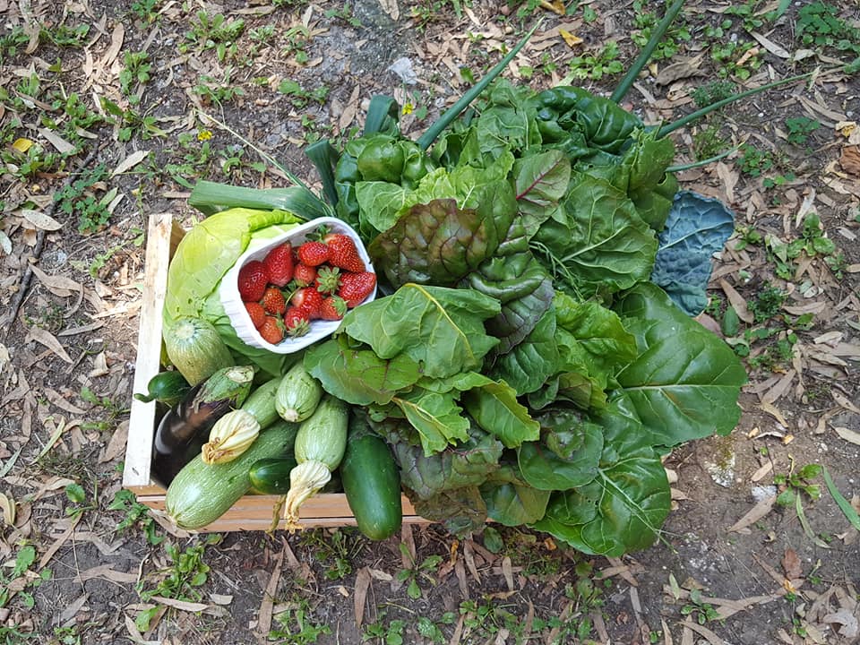 Sustainable Farming