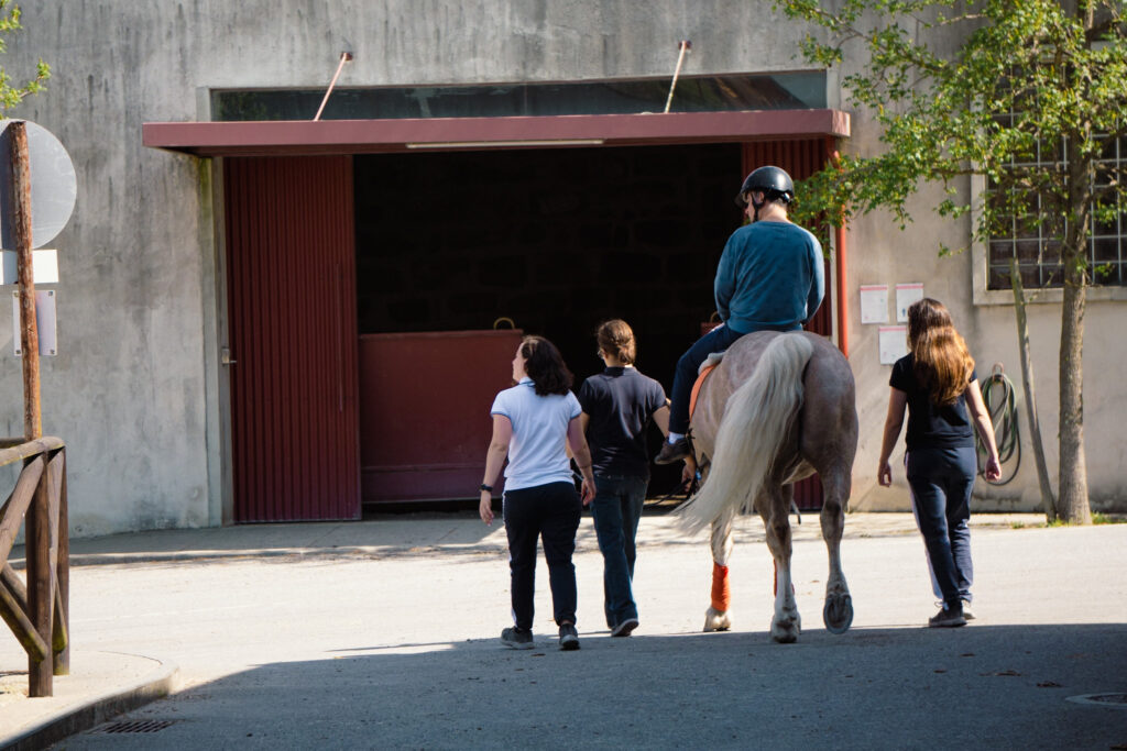 Horse Therapy Support