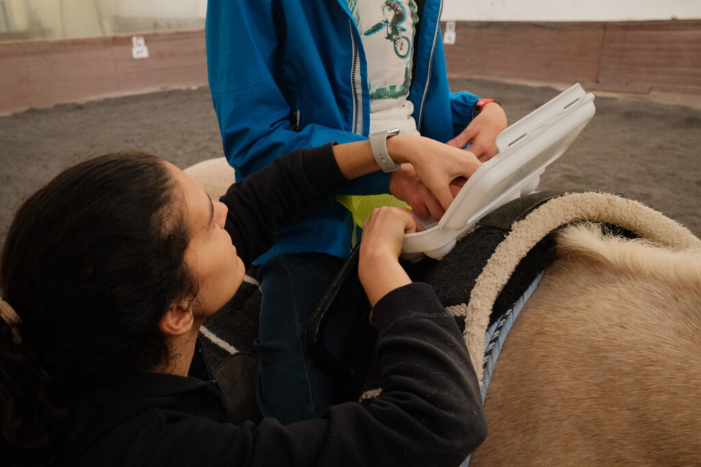 Horse Therapy Support