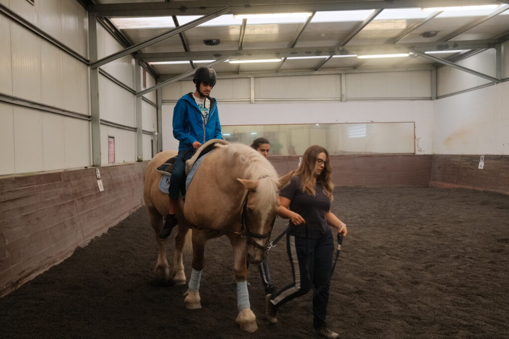 Horse Therapy Support