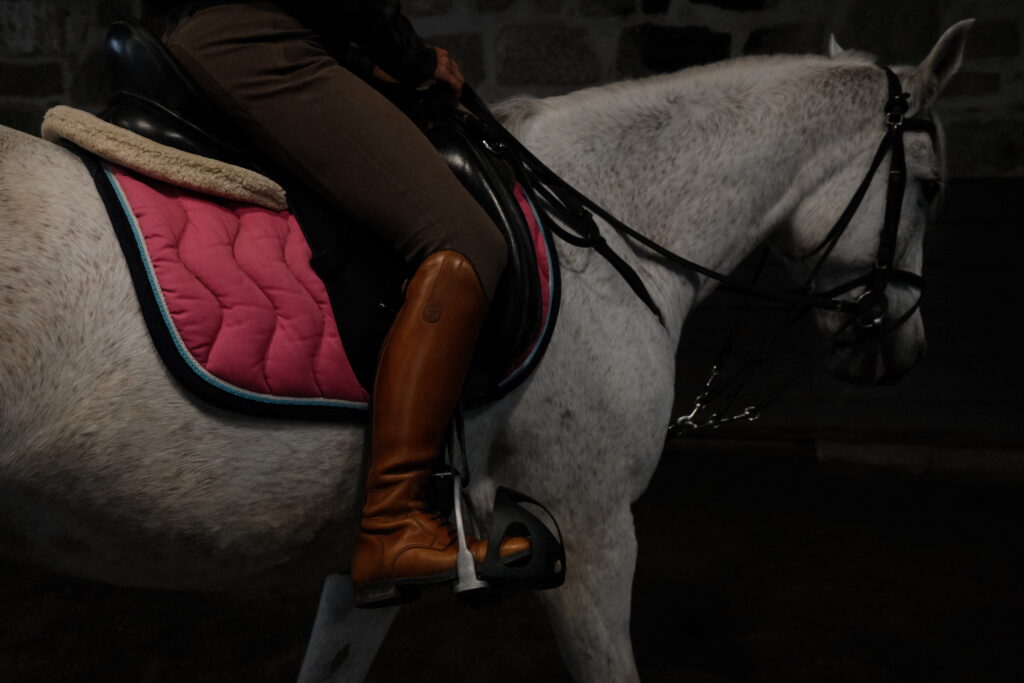 Horse Therapy Support