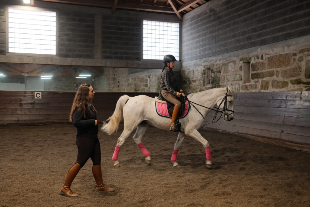 Horse Therapy Support