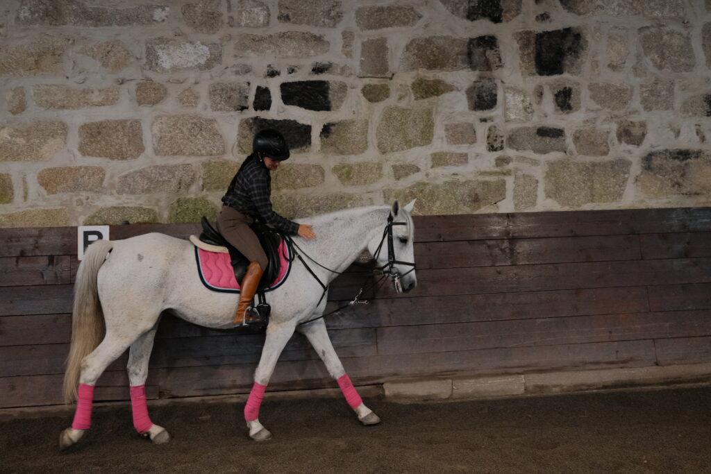 Horse Therapy Support