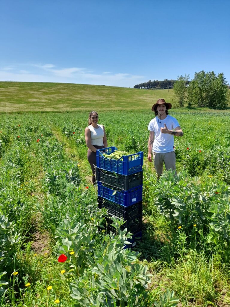 Sustainable Farming
