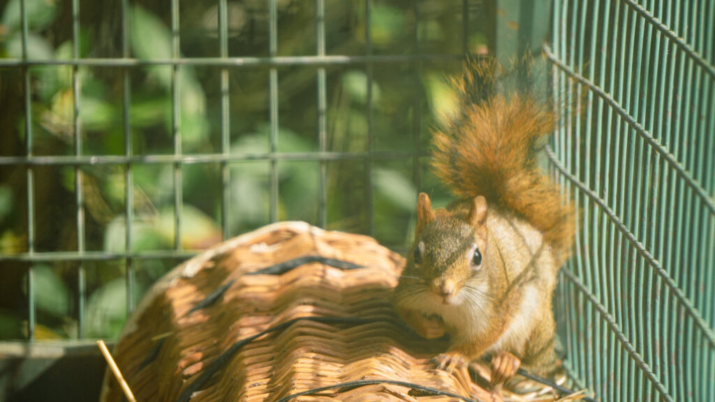 Biological Park Conservation