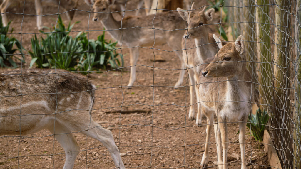 Biological Park Conservation