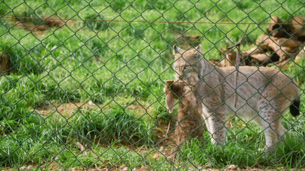 Biological Park Conservation