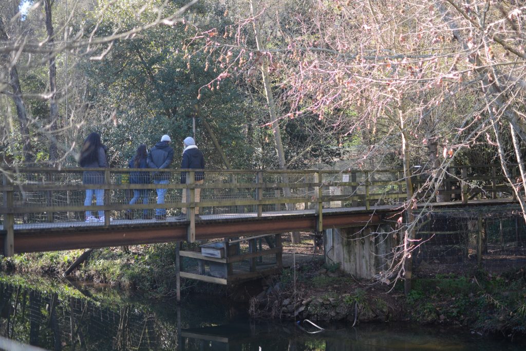 Biological Park Conservation