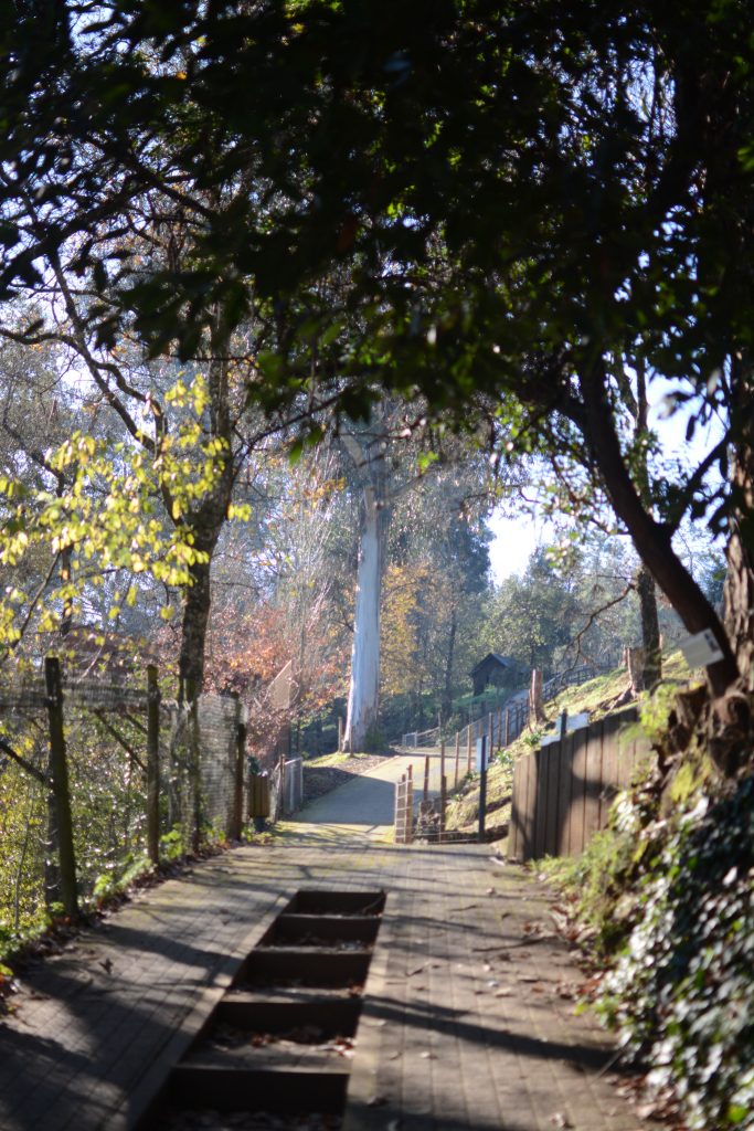 Biological Park Conservation
