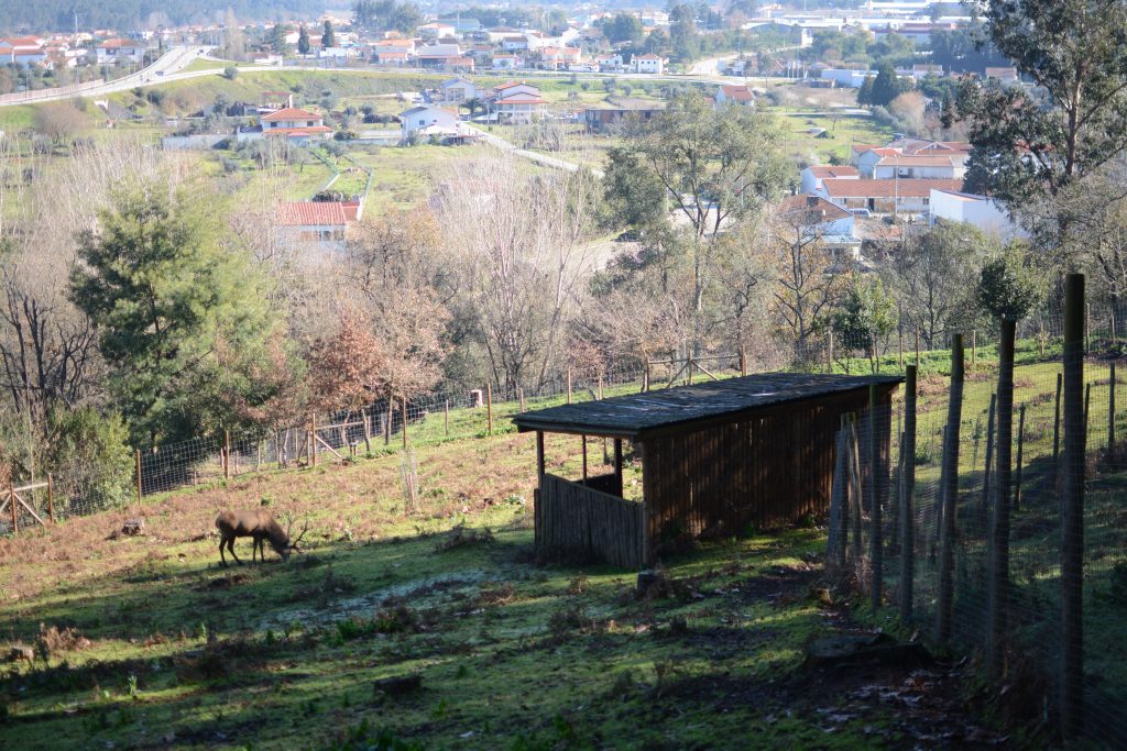 Biological Park Conservation