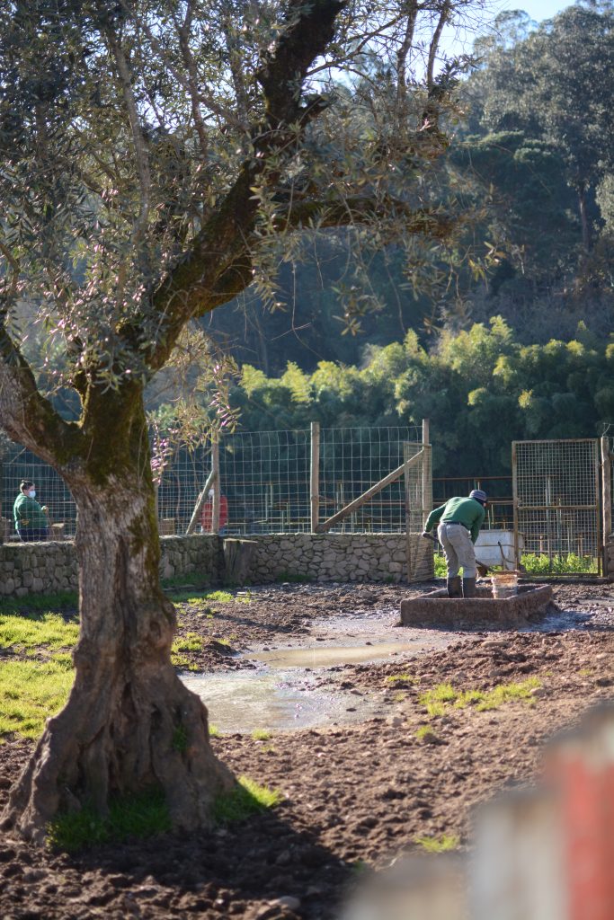 Biological Park Conservation