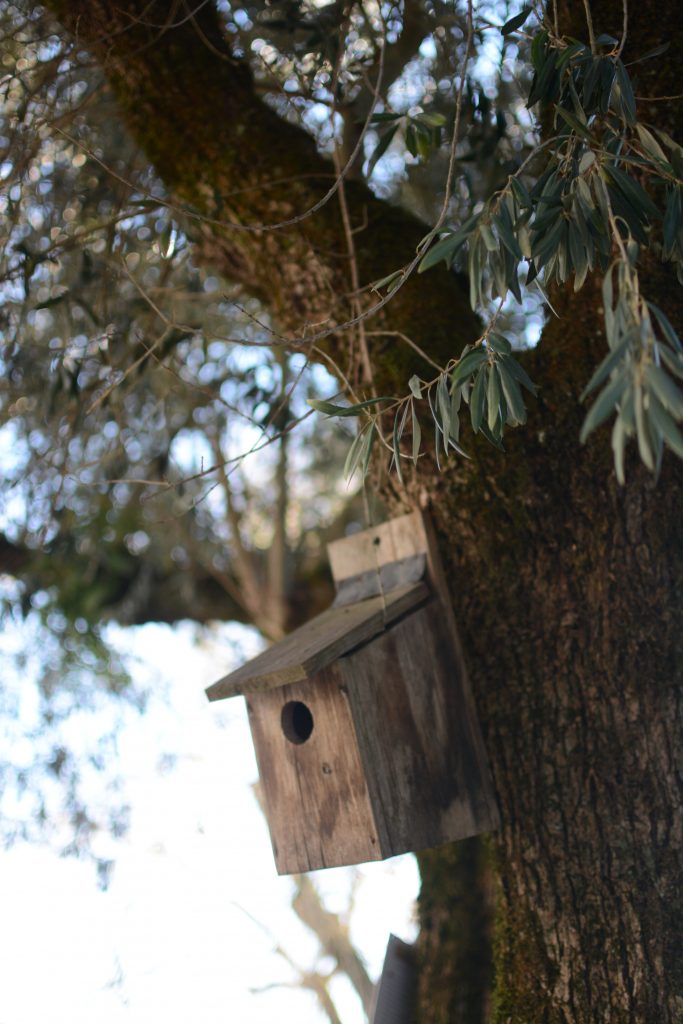 Biological Park Conservation