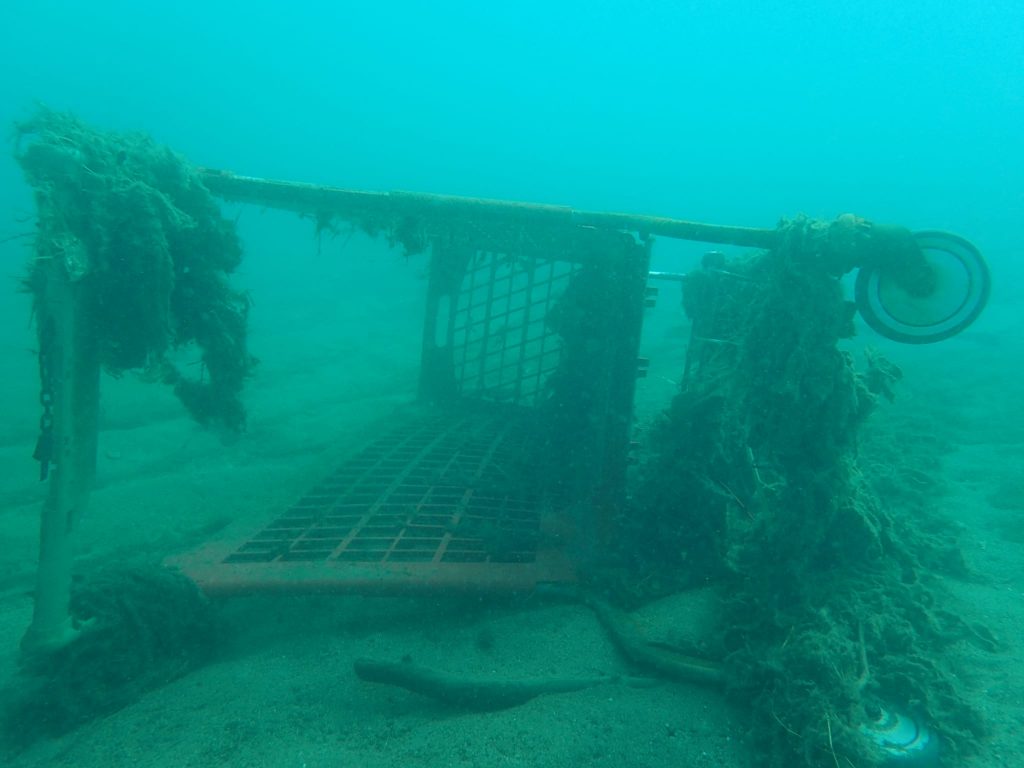 Marine Conservation