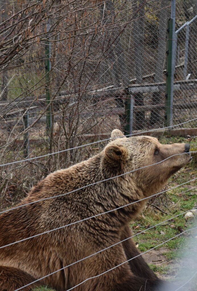 Wildlife & Heritage Sanctuary