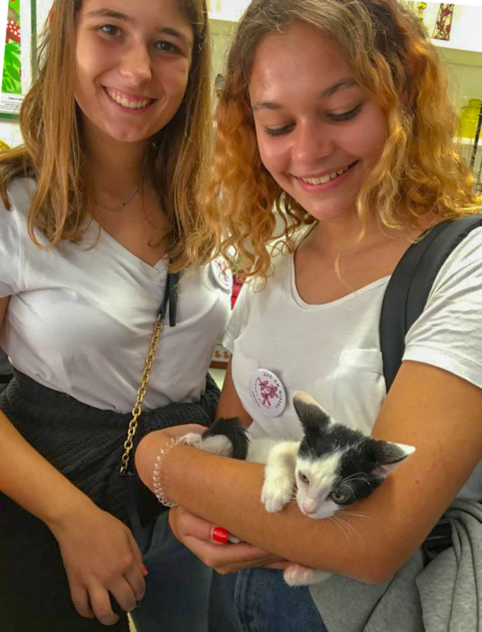 Animal Care