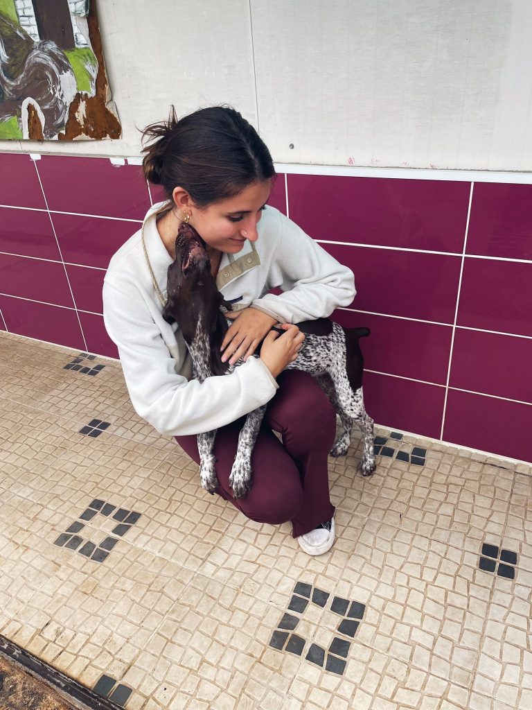 Animal Care