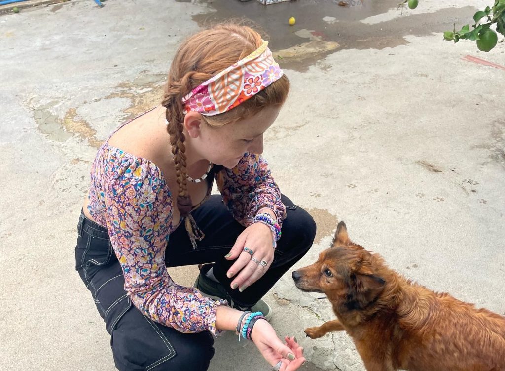 Animal Care