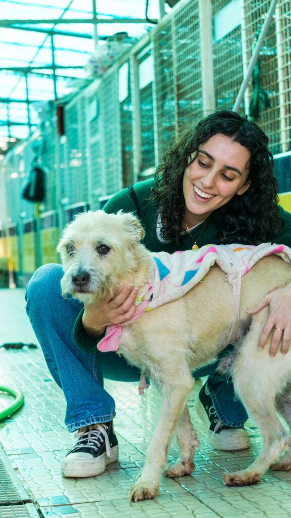 Animal Care