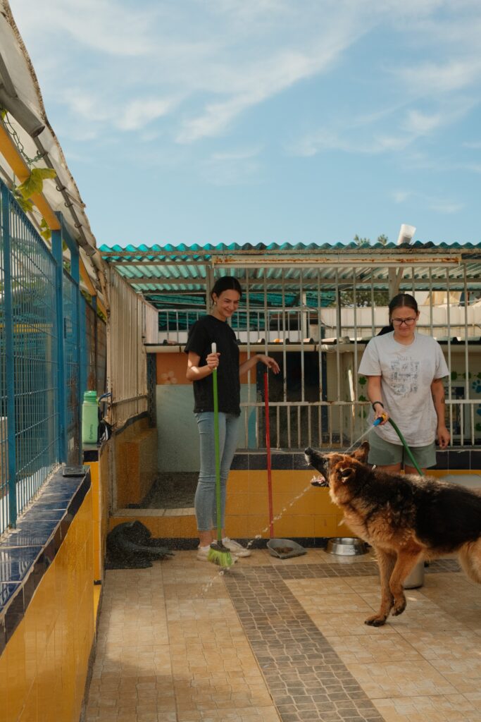 Animal Care