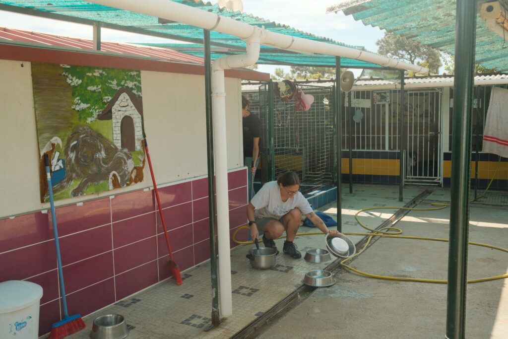 Animal Care