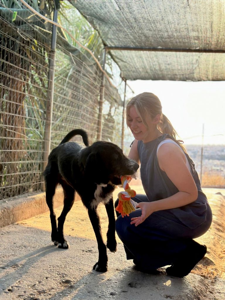 Animal Care