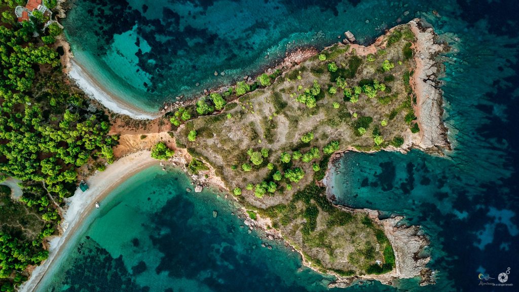 Alonissos Dive Escapes