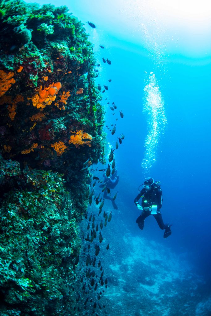 Alonissos Dive Escapes