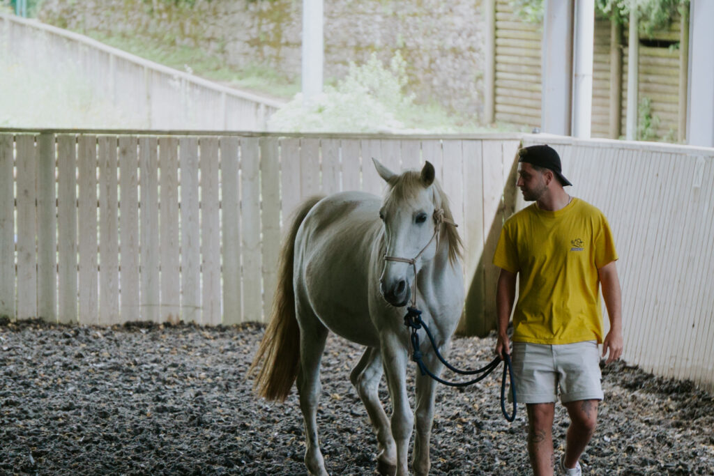 Horse Caretakers
