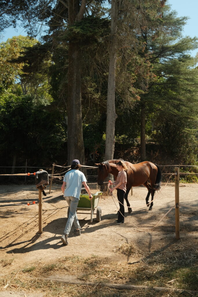 Horse Caretakers
