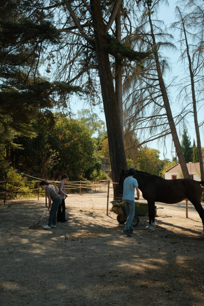Horse Caretakers