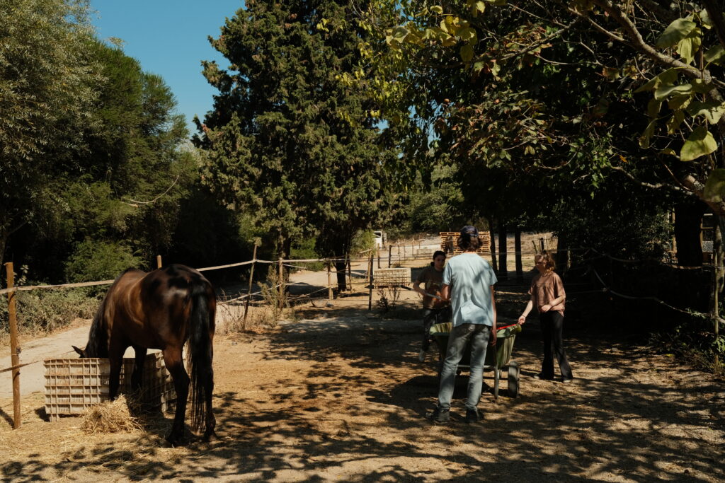 Horse Caretakers
