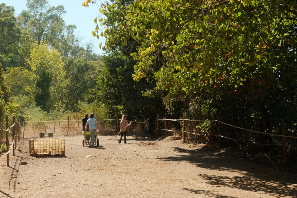 Horse Caretakers