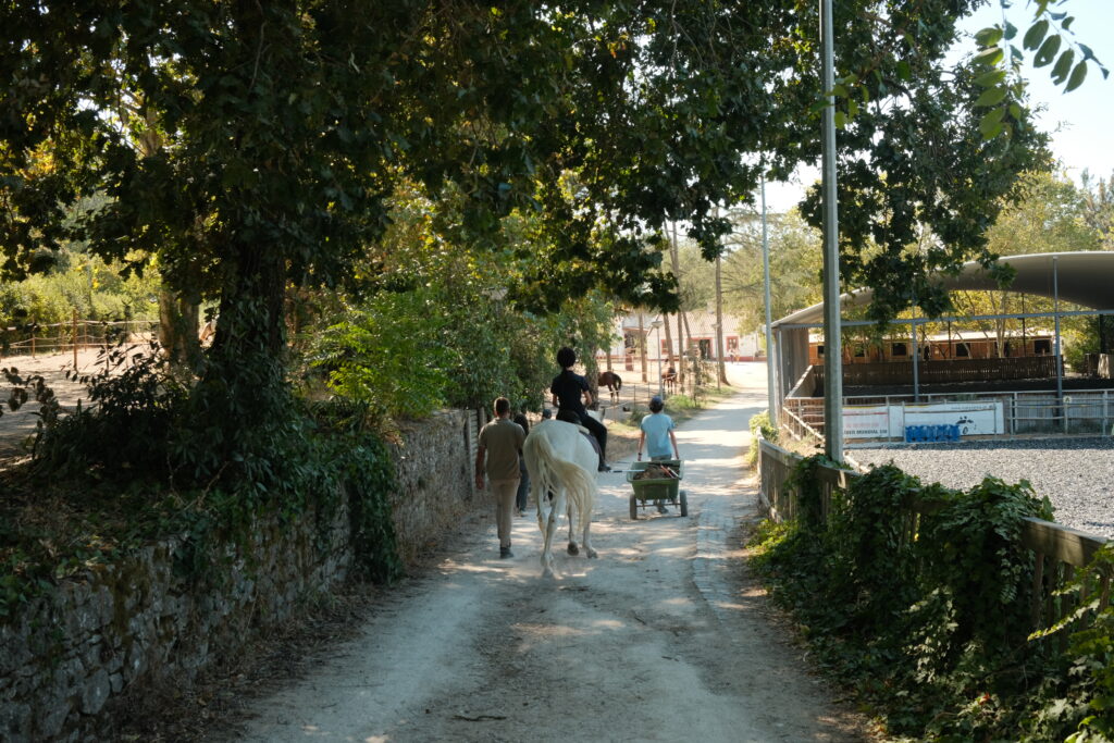 Horse Caretakers