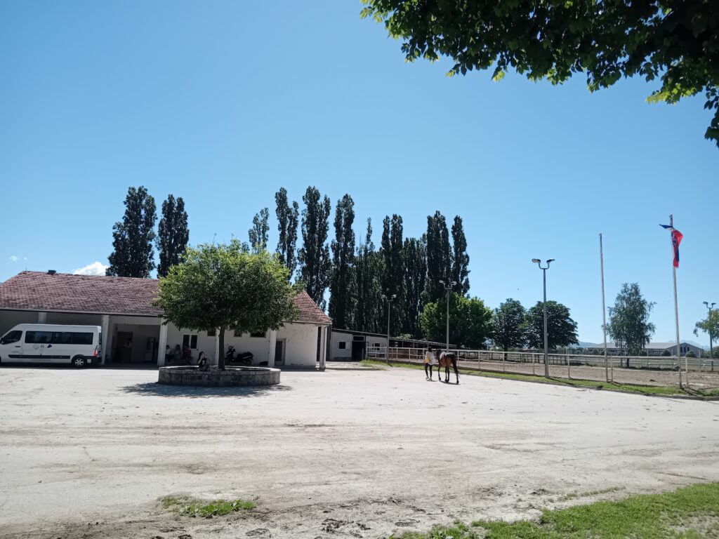 Horse Caretakers